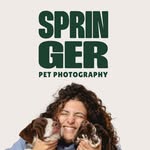 Springer Pet photography by Beatriz Câncio 🤍🐾 - @springerstudio - Instagram
