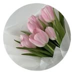 Beatriz Costa - Facebook
