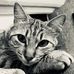 Beatriz Domenech - Facebook