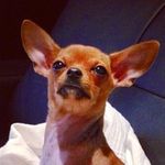 Betty - @beatriz_donis - Instagram