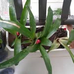 Maria Beatriz Eckert - @maria.eckert.5030 - Instagram