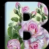 Beatriz Enciso - @beatriz.enciso - TikTok
