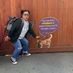 Beatriz Evans Pacheco - @catladyb5 - Instagram