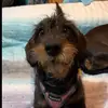 Beatriz Exposito - @beatrizexposito7 - TikTok