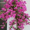 Graciela Beatriz Frey - @graciela.beatriz79 - TikTok