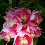 Beatriz Fundora - Facebook