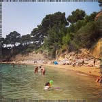 Beatriz Graham - @miharuschroederket - Instagram