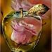 Beatriz Gray - Facebook