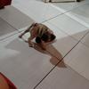 Biazinha - @beatrizhammer._1 - TikTok