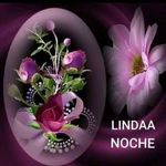 Beatriz Biglione Hansen - @biglionehansen - Instagram