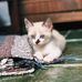 Beatriz Hansen - Facebook
