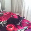 Beatriz Hoffmann - @beatrizhoffmann48 - TikTok