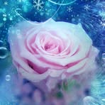Beatrice Hoff - Facebook