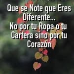 Beatriz Jimenez Garcia Jimenez Garcia - @beatriz.j.g53 - Instagram