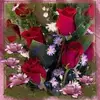Jimenez Beatriz - @jimenez.beatriz - TikTok