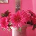 Beatriz Leon - Facebook