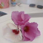 Beatriz Lima - Facebook