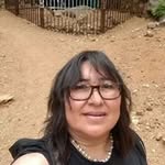 Beatriz Long - @beatrizlong1499 - Instagram