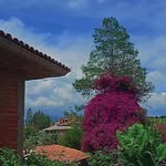 Beatriz Malagon - @beatriz.malagon.900 - Instagram