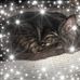 Beatriz Malagon - Facebook