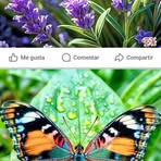 Karina Beatriz Mouzo - Facebook