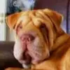 Beatriz Robles - @beatriz.robles - TikTok