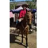 beatrizsamanez773 - @beatrizsamanez773 - TikTok