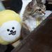 Beatriz Stuart - Facebook