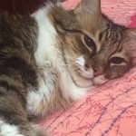 Beatriz Taboada - @taboada4462 - Instagram