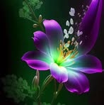 Beatriz Tejeda - Facebook