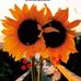 Beatriz Teran - Facebook