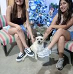 Beatriz Tineo - Facebook