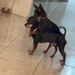 MANO TODDY BEATRIZ MUIER - @toddyebeatriz - Instagram