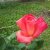 Beatriz Traverso951 - @beatriztraverso95 - TikTok