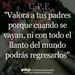 Eduardo Pedral - @beatriz.troche.3386 - Instagram