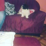 Mirta Beatriz Troche Olmedo - @mirtatroche79 - Instagram