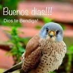 Beatriz Ureña - @beatriz.urena.7547 - Instagram