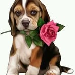 Beatriz Valera - Facebook