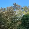 Beatríz Vasques - @beatrz.vasques - TikTok