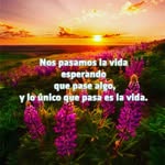 Maria Beatriz vence Ávila - @mariabeatrizvence - Instagram