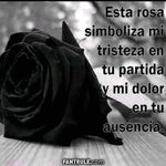 Mayela Beatriz Verdin Lopez - @mayelabeatrizverd - Instagram