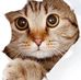 Beatriz Vilchis - Facebook