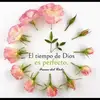 Beatriz Wade - @beatriz.wade4 - TikTok