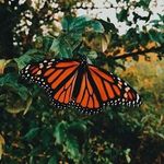 Beatriz Wagner - @beatrizwagner00 - Instagram