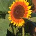 Beatrice Warren - Facebook