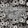 Beatriz Washington - @beatrizwashington4 - TikTok