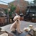 Beatriz Weber - Facebook