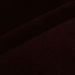 Beatriz Weber - @beatrizweber7544 - Instagram