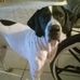 Betty Whitaker - Facebook