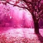 Beatriz Isabel Wilson - @beatrizwilson759 - Instagram